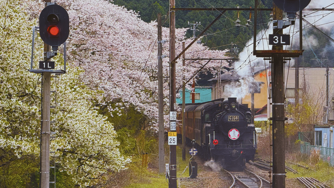 四季变换的绝景